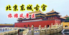 盗摄中文淫色网中国北京-东城古宫旅游风景区